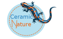 Ceramic Nature
